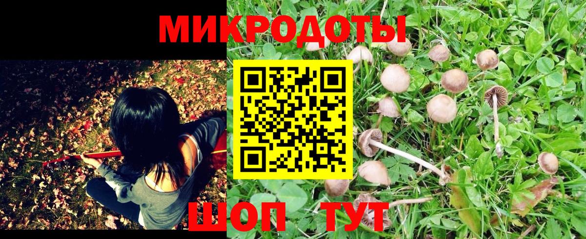 Галлюциногенные грибы мицелий Кумертау